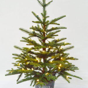 3ft / 90cm Pre Lit Christmas Tree